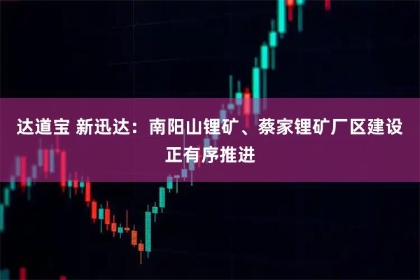 达道宝 新迅达：南阳山锂矿、蔡家锂矿厂区建设正有序推进